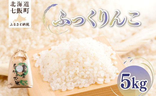 【先行予約】令和8年産 ふっくりんこ5kg 【ふるさと納税 人気 おすすめ ランキング ふっくりんこ 米 こめ 白米 精米 ごはん ご飯 北海道産 北海道 七飯町 送料無料】 NAZ017