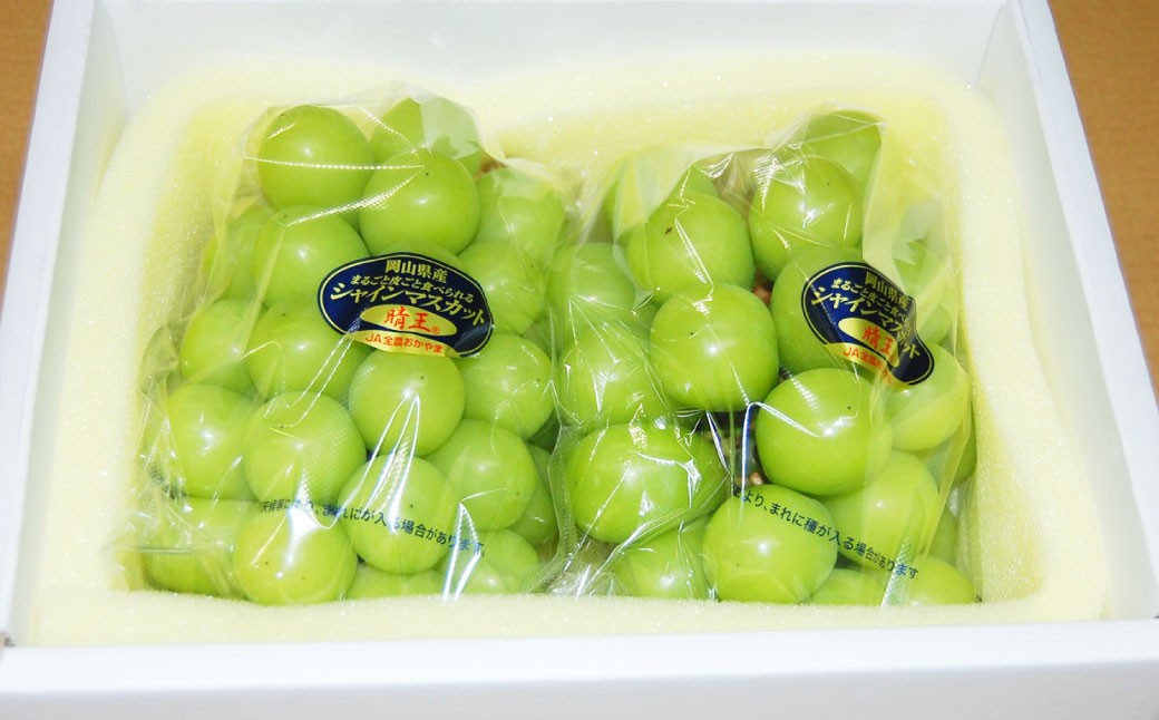 【無加温栽培（晴王）】岡山県産シャインマスカット自家用つる付き3房入り（1房530ｇ以上）