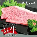 【ふるさと納税】黒毛和牛 国産 熊本県産 牛肉 肉　あしきた牛サーロインステーキ　熊本県産 霜降り