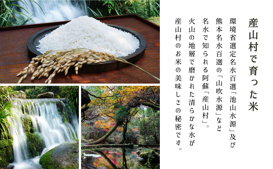 ＜令和7年産新米定期便3回＞うぶやま高原米（コシヒカリ2kg×4袋）《2025年9月末頃よリ順次出荷予定》---ubuyama_ibn_9_8kgmo3---