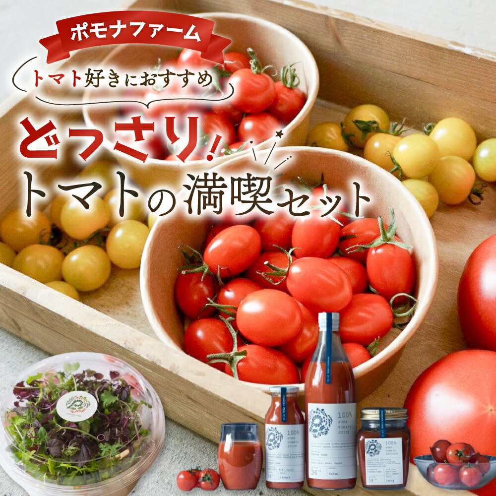 【ふるさと納税】どっさりトマトの満喫セット　トマト好きの方はぜひ！ トマト 完熟トマト ミニトマト 大玉トマト トマトケチャップ トマトジュース セット 詰め合わせ リコピン 薄皮 野菜 ベジタブル 果物 完熟 美味しい 人気 新鮮 やさい サラダ 三重県 多気町 PF-09