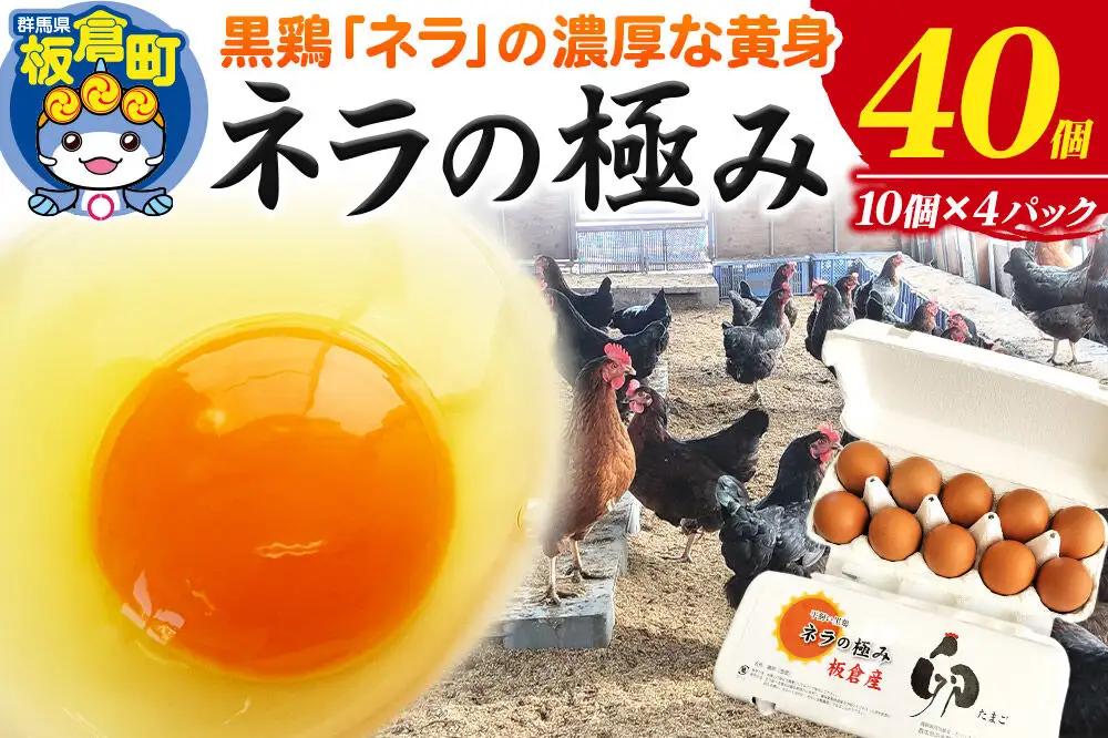 ネラの極み 卵 たまご 40個（10個×4パック）