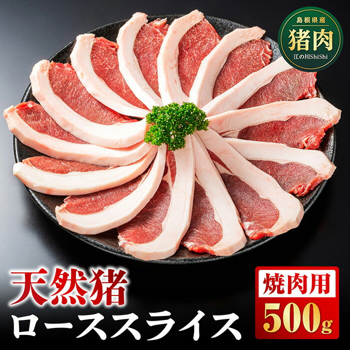【ふるさと納税】天然猪ローススライス焼き肉用500g【AI-9】｜送料無料 国産 ジビエ 天然ジビエ 天猪肉 いのしし肉 イノシシ肉 ロース ロース肉 スライス 焼き肉用 焼き肉 鍋 500g 贈り物 贈答品｜