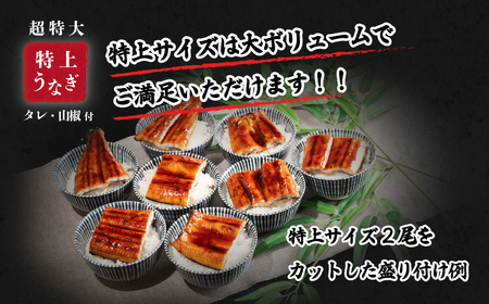 うなぎ 国産 特上 ウなぎ 蒲焼き 2尾 570g以上 ウナギ 化粧箱 父の日