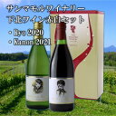 【ふるさと納税】下北ワイン 定番の赤白セット(各720ml)【配送不可地域：離島】【1479980】