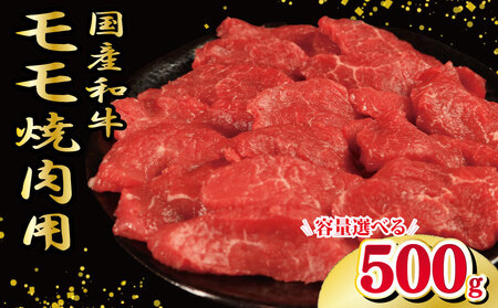 牛肉 もも 500g 焼肉 もも 焼肉 もも 焼肉 もも 焼肉 