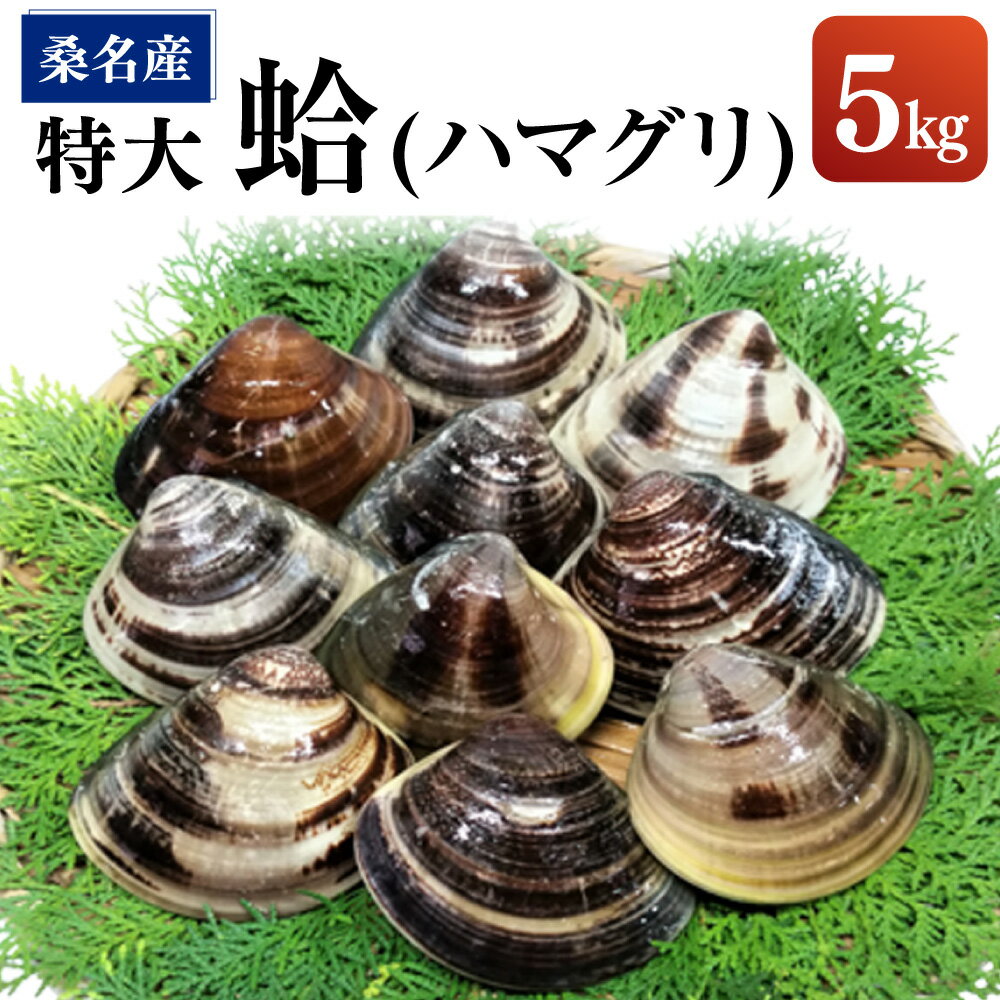 【ふるさと納税】【指定日必須】【特大】桑名産蛤（ハマグリ） 5.0kg はまぐり 魚介類 貝 海鮮 海産物 水産物 冷蔵 三重県産 国産 桑名市 三重県 送料無料 【2025年9月下旬から2026年6月下旬発送予定】