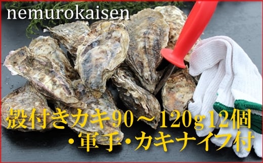 A-57055 【北海道根室産】殻付カキ90～120g×12個