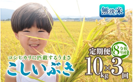 令和8年産 無洗米 こしいぶき 定期便 10kg 3回 30kg 新潟 先行予約 新米 3か月 3ヶ月 越後の新しい息吹 コシヒカリ の遺伝子を引き継ぐ 米 おこめ お米 ご飯 ごはん オニギリ お弁当 kome 送料無料 数量限定 農家直送 産地直送 国産 川瀬農園 四代目 悠助 新潟 新発田 kwsMKI005_202609