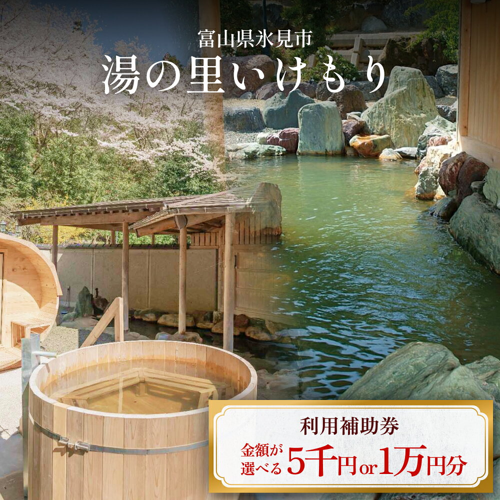 【ふるさと納税】富山県氷見市 湯の里いけもり　利用補助券5,000円分（温泉・宿泊・サウナ・食事） 富山県 氷見市 旅行 観光 宿泊券 宿泊 宿泊券 食事券 クーポン チケット 海鮮