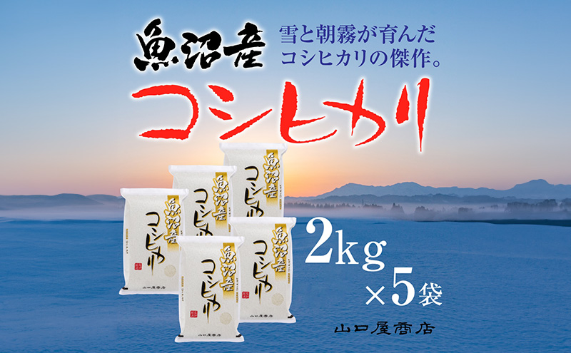 「厳選☆十日町育ち」魚沼産コシヒカリ 2kg×5袋 お米 米 コメ 