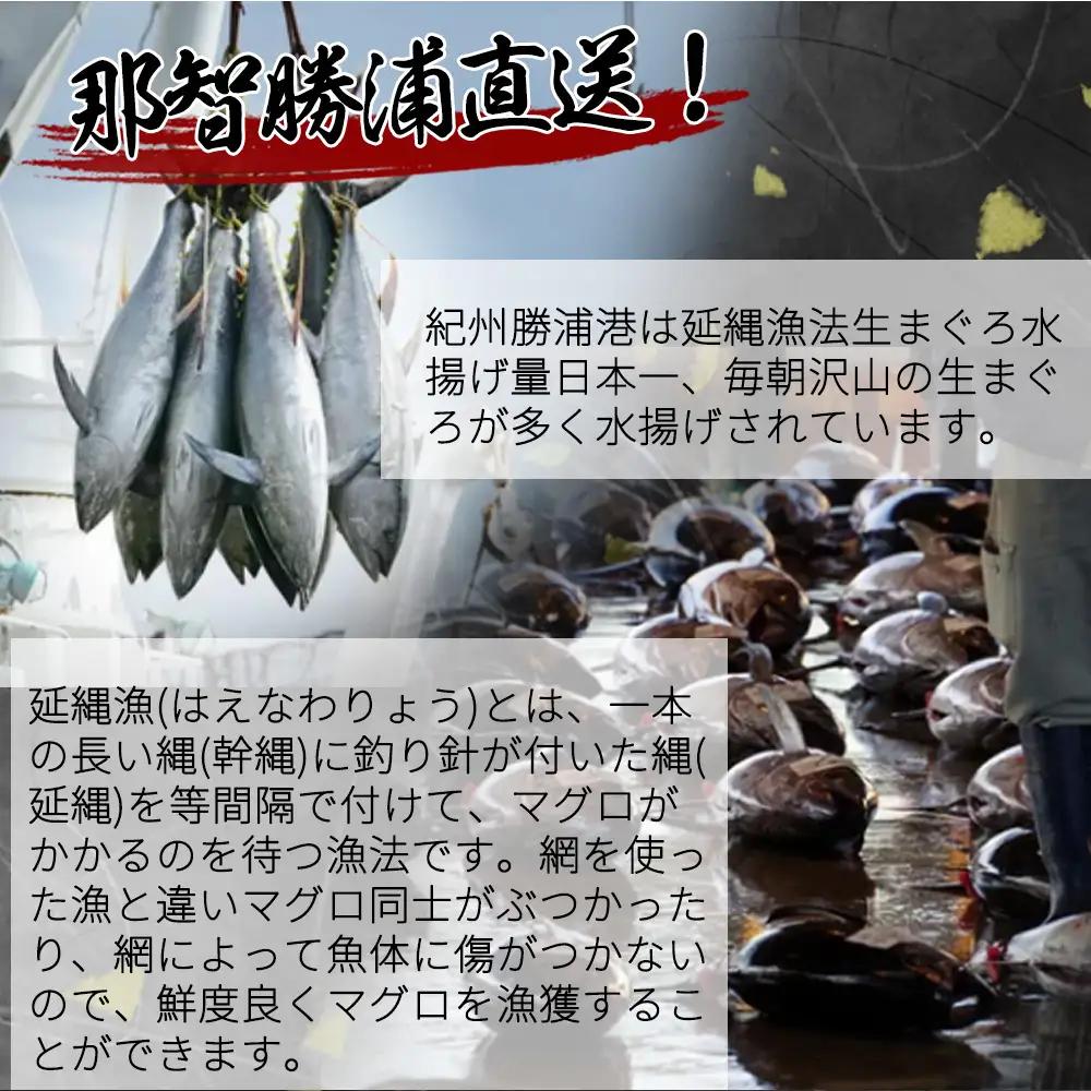 もちもち生まぐろ醤油漬け4P / マグロ 鮪  まぐろ 漬けマグロ 漬け 魚 海鮮 【uot808】