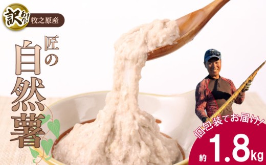 【自然薯 訳あり】 約 1.8kg 訳アリ じねんじょ ひげ根 処理済み 洗ってすぐに食べられる！ 山芋 ヤマイモ 山いも とろろ とろろ汁 国産 滋養強壮 とろろご飯 ご飯のお供 栄養 美味しい おいしい 自宅用 家庭用 ギフト プレゼント 小分け 個包装 食べきり 産地直送 農家直送 産直 直送 静岡県産 牧之原産 お土産 とろろごはん やまいも 野菜 芋 たくみファーム 静岡県 牧之原市