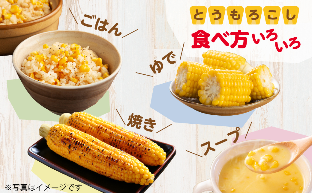 ＜2026年8月初旬よりお届け＞約5kg！北海道壮瞥産とうもろこし（恵味）【Ｌ〜2Lサイズ 11〜13本】 SBTP002