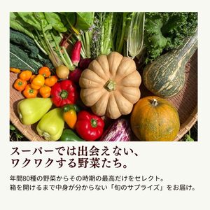 季節の彩り野菜セット（１回お届け）【L001】