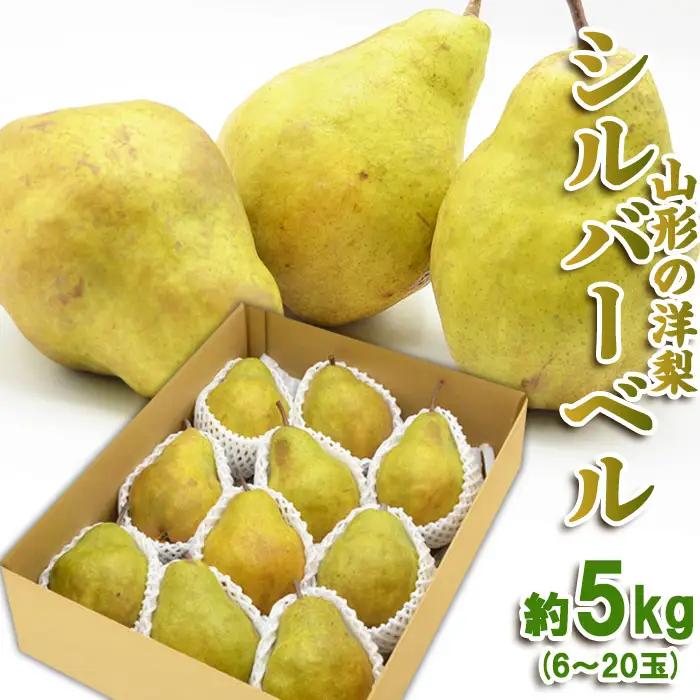 山形の洋梨 シルバーベル 秀品 約5kg(6～20玉)【令和8年産先行予約】FS25-684