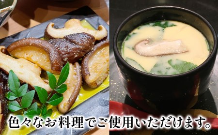 最高級 大分県産 花どんこ 椎茸 380g | 椎茸 津久見市