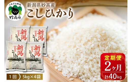 【2026年12月上旬発送】【定期便】令和8年産 新潟県妙高産コシヒカリ20kg(5kg×4袋)×2回（計40kg）