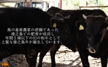 南原（はいばる）牧場 幻の徳之島牛 リブローススライス 1000g ( 厳選 ロース プレミアム 高品質 鹿児島黒毛和牛 黒毛和牛 牛肉 万能 料理 徳之島 奄美 鹿児島 すき焼き しゃぶしゃぶ 和牛