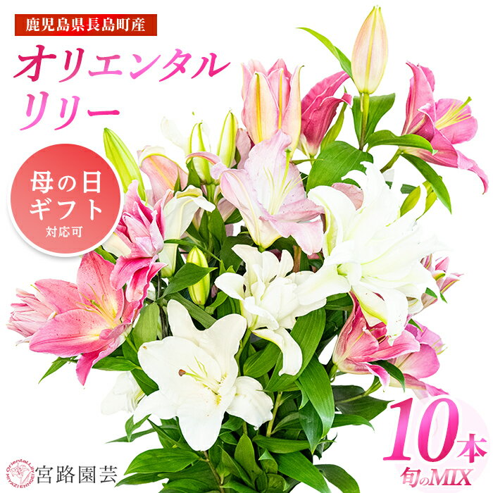 オリエンタルリリー（ユリ）旬のミックス(12本)鹿児島県産 国産 九州 特産品 長島町 ユリ ゆり 百合 花束 誕生日 ギフト 贈答用 花 フラワー フラワーアレンジメント【宮路園芸】