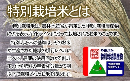 【令和8年産先行予約】特別栽培米つや姫 無洗米 10kg (5kg×2袋)×6ヶ月【定期便】　鶴岡協同ファーム 