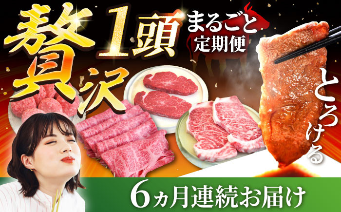 
            【牧場直送】【6回定期便】佐賀牛 贅沢 1頭まるごと定期便 シルバーコース【佐賀セントラル牧場】佐賀県産 牛肉 お肉 肉 焼肉 しゃぶしゃぶ 九州 佐賀県 白石町 [IAH089]
          