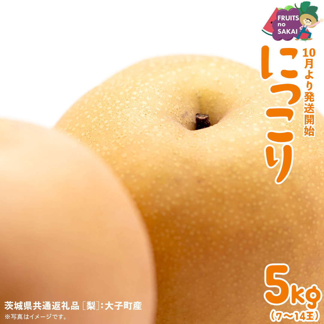 にっこり 梨 約5kg 【2026年10月より発送開始】（茨城県共通返礼品 [梨]：大子町産） なし 旬 お取り寄せ フルーツ 甘い ジューシー 和梨 時期 [FC09-NT]