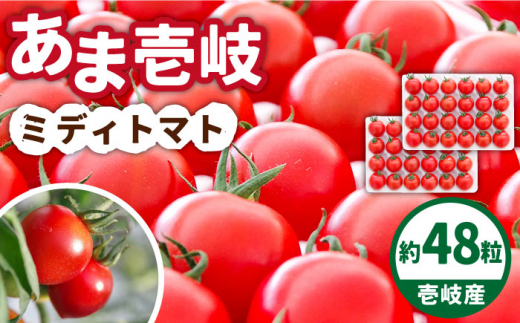 あま壱岐 ミディトマト 約48粒 《壱岐市》【壱岐の潮風】 [JAE009] トマト ミディトマト 野菜 ギフト プレゼント 贈り物 15000 15000円 