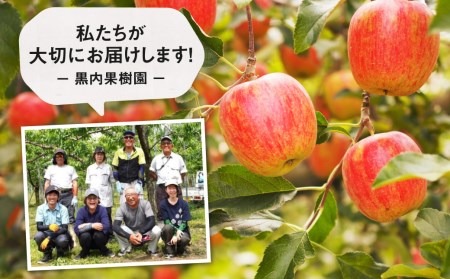 ぎゅっとリンゴジュース 5種10本飲み比べ 化粧箱入り 飛騨リンゴ