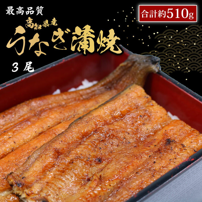 【ふるさと納税】 うなぎ蒲焼 約170g×3尾 高知県産 最高品質 合計約510g たれ 山椒 国産 鰻 かば焼 土佐焼 うな丼 うな重 人気 おすすめ 高知県 南国市