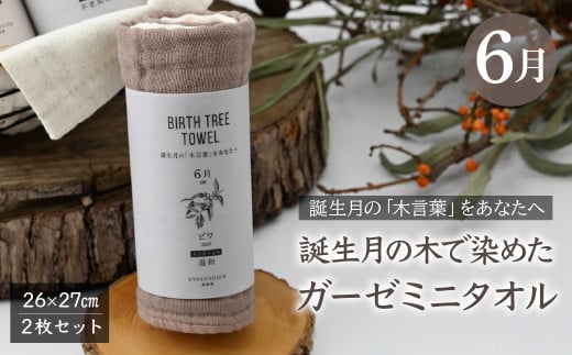 6月「ビワ」の木言葉 「温和」　 BIRTH TREE TOWEL  | RYOKUSUIEN 緑酔園 草木染め THE NEWOLD WORKS バースツリータオル ビワ 温和 ガーゼ タオル ハンカチ  ふわふわ 植物 草木染ガーゼ アップサイクル エシカル ヘリンボーン ギフト贈り物 お祝い プレゼント 母の日 父の日 記念日　埼玉県 草加市 草加