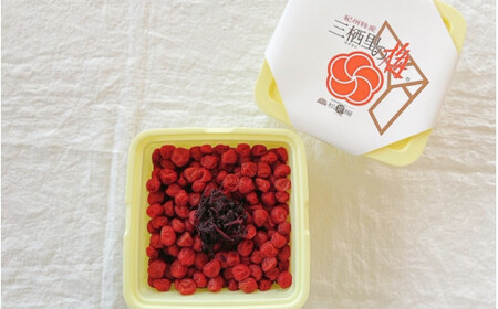 紀州小梅　しそ小梅（塩分13％）　2kg  / 田辺市 紀州南高梅 南高梅 梅干し 梅干 梅  肉厚 お米 おにぎり 焼酎 梅酒 健康 小梅 【ske039】