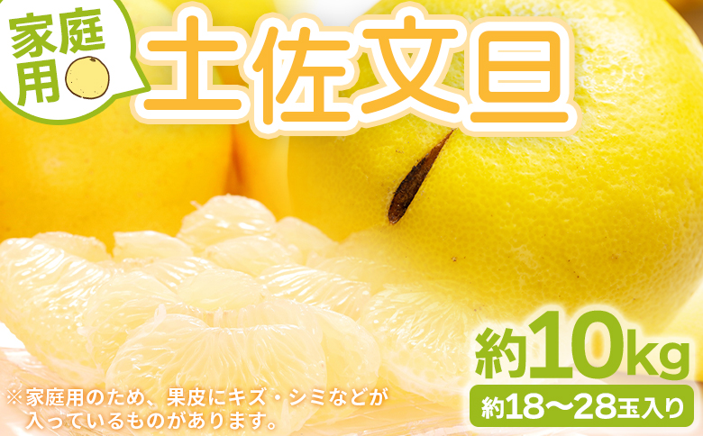 土佐文旦 家庭用 10kg 大小混合(L～3L) 約18～28玉入り yk-0052