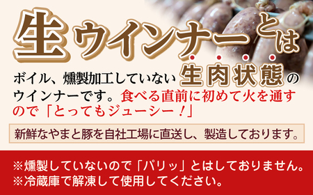 やまと豚 冷凍 生ウインナー プレーン 4袋入り (各5本入り × 4袋) 無添加 ソーセージ ウインナー ギフト プチギフト 肉 冷凍食品 贈答 プレゼント 福島県 田村市 ハム工房都路