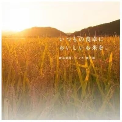 【2ヵ月毎定期便】岐阜県産ハツシモ(精米) 10kg全4回【配送不可地域：離島】【4076396】