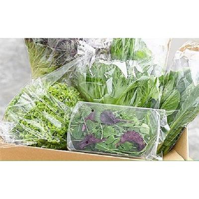 ふるさと納税 美濃加茂市 【発送月固定定期便】水耕栽培 新鮮 葉物野菜セット 全4回
