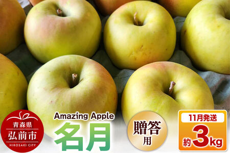 【寄附金額見直しました】【26年11月下旬発送】りんご 名月【贈答用】約3kg