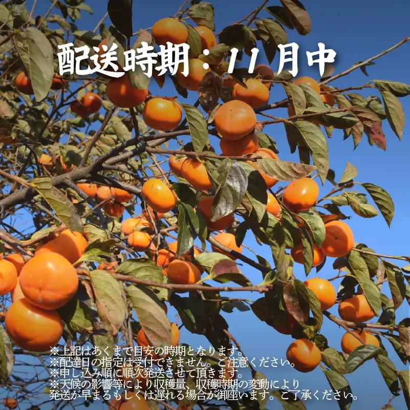 【先行予約】 富有柿 6kg 竜王産 産地直送 数量限定 旬 果物 滋賀県 竜王町 送料無料