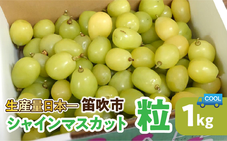 【2026年発送★先行予約】笛吹市産　シャインマスカット粒 106-020-26y