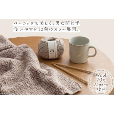 ふるさと納税 江南市 あみもねっと アルパカ天然色並太 2番色 10玉セット |  | 01