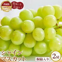 【ふるさと納税】No.611 【先行予約】お中元　シャインマスカット　桐箱入り2房【茨城県共通返礼品 かすみがうら市】 ／ ブドウ ぶどう 葡萄 マスカット フルーツ 果物 贈答品 ギフト 送料無料 茨城県