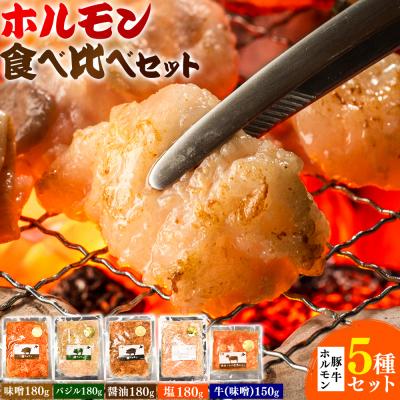 ふるさと納税 日高町 豚・牛ホルモン5種セット 焼肉レストラン食道園《30日以内に出荷予定(土日祝除く)》