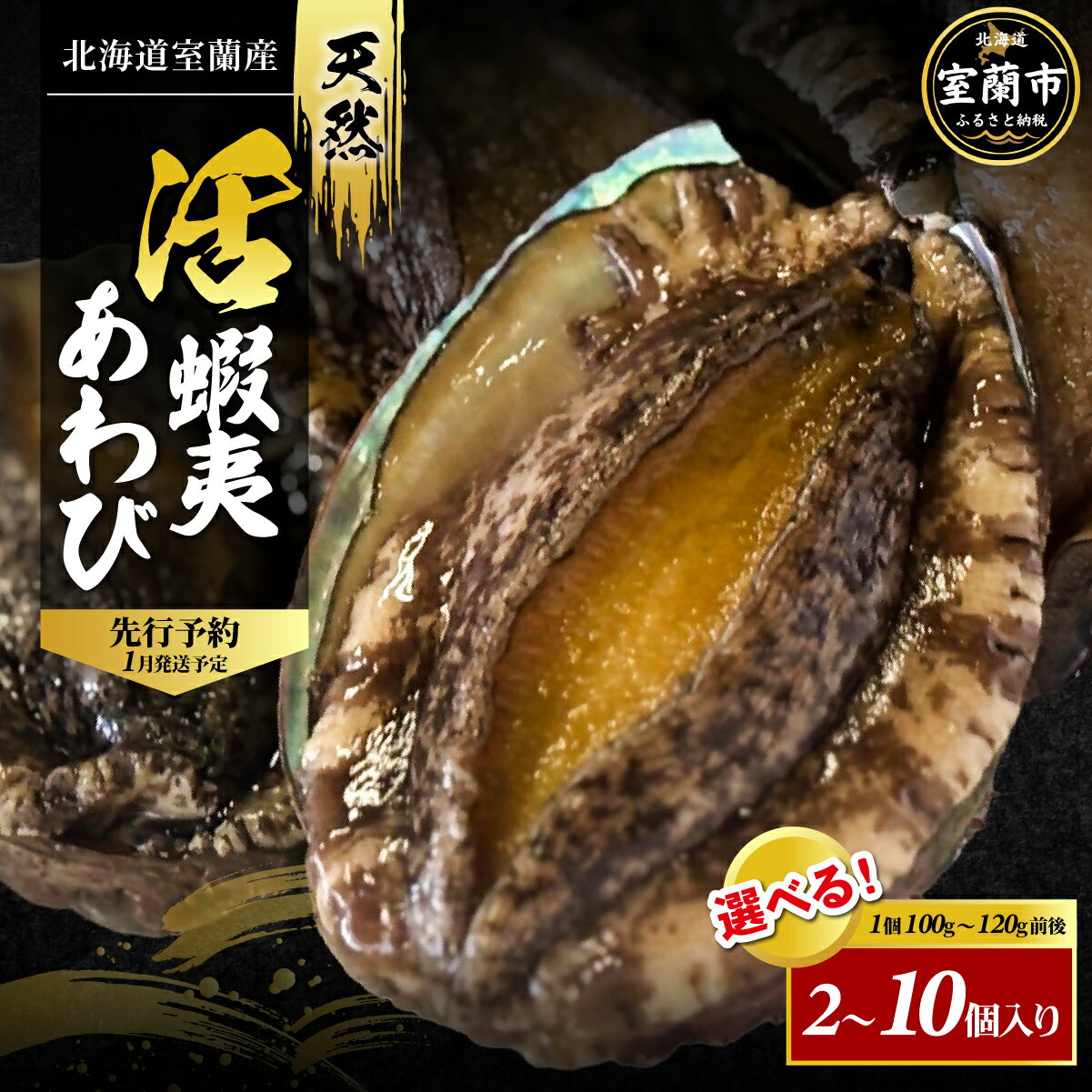 【ふるさと納税】北海道室蘭産 天然活蝦夷あわび 選べる 2個入 ～ 10個入（1個100g～120g前後）（2026年1月中旬頃お届け）【 ふるさと納税 人気 おすすめ ランキング ホタテ あわび アワビ 鮑 蝦夷あわび 蝦夷アワビ 海鮮 新鮮 北海道産 北海道 室蘭市 送料無料 】 MROH006