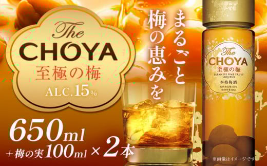 The CHOYA 至極の梅 650ml × 2本 羽曳野商工振興株式会社《30日以内に出荷予定(土日祝除く)》大阪府 羽曳野市 送料無料 梅酒 梅 酒 CHOYA チョーヤ チョーヤ梅酒 お酒 紀州 南高梅