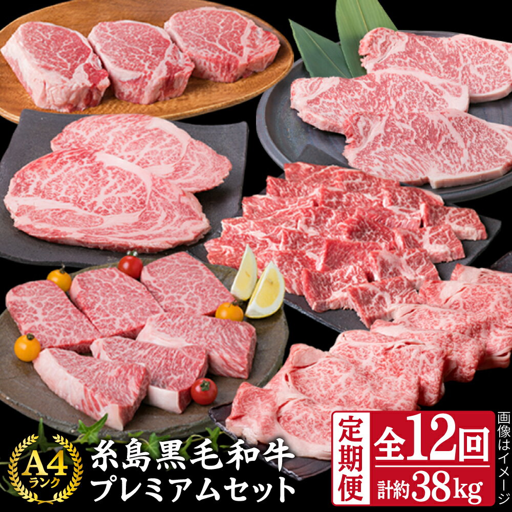 【ふるさと納税】【全12回定期便】A4ランク 糸島黒毛和牛 プレミアムセット (シャトーブリアン/サイコロステーキ/ローストビーフ/ロース/カルビ/ウデ/モモ/ハンバーグ/切り落とし) 計38.3kg 《糸島》【糸島ミートデリ工房】 [ACA076] 牛肉 定期便 2000000円 200万円