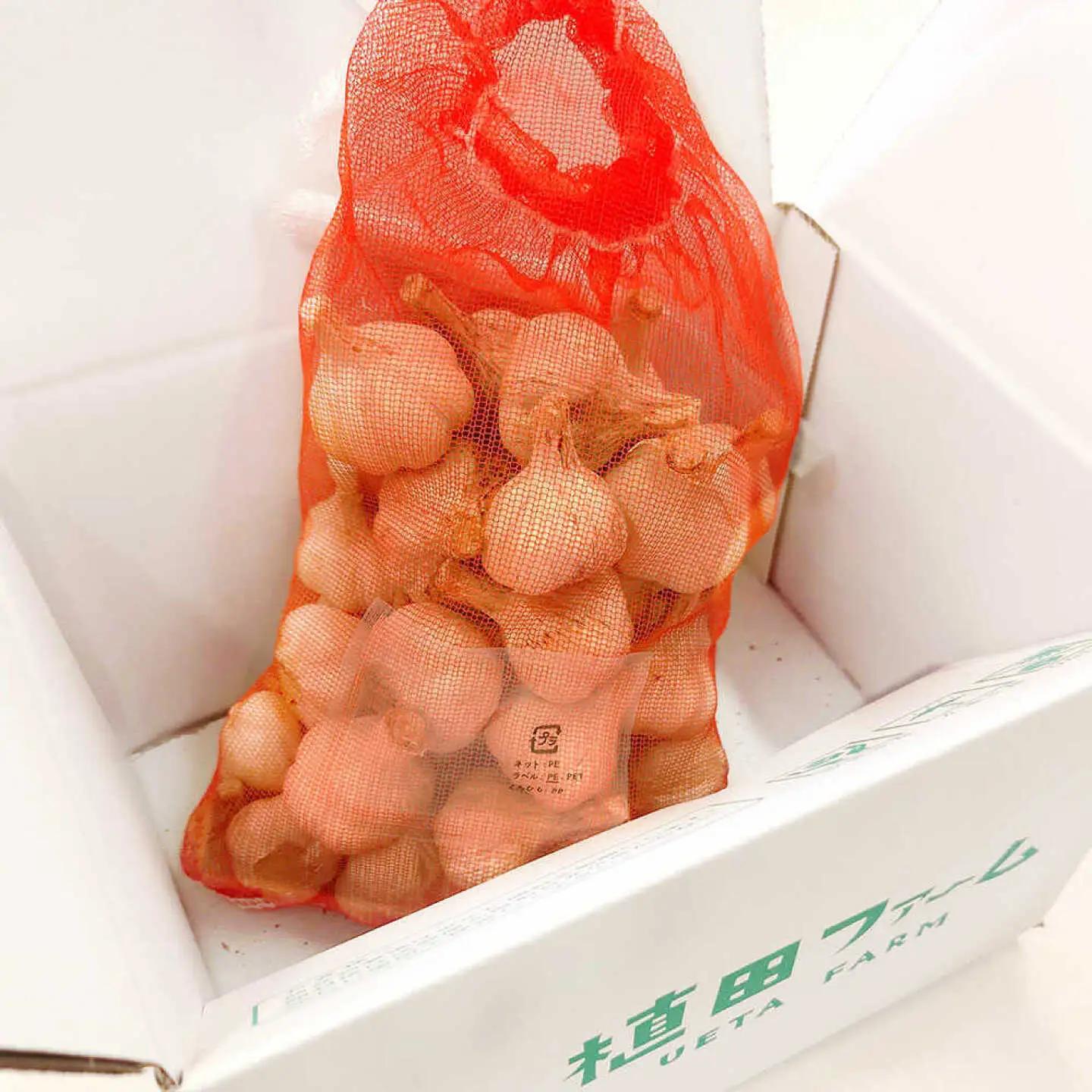 植田ファームの自然乾燥平戸にんにく700g 〈2026年6月10日〜2026年10月31日〉 高知県 土佐市【株式会社植田ファーム】[BQAT004]