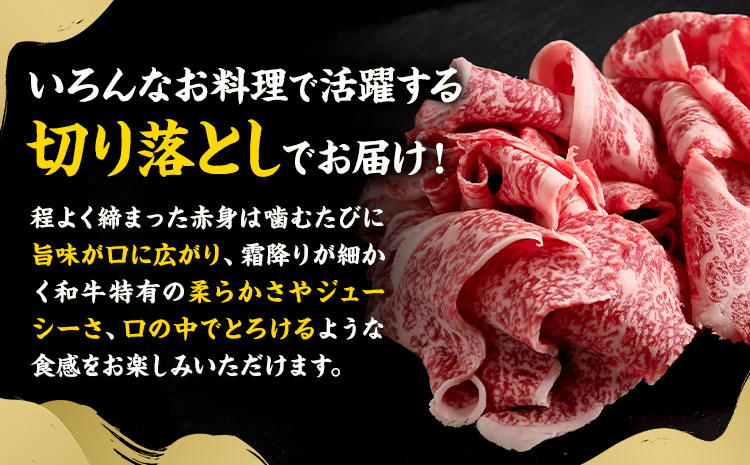 黒毛和牛 牛肉 切り落とし 3.6kg 300g×12パック 茨城県 結城市 東和食品 《30日以内に出荷予定(土日祝除く)》お肉 肉 牛肉 和牛 牛 切り落とし 薄切り ロース バラ 精肉 国産 国