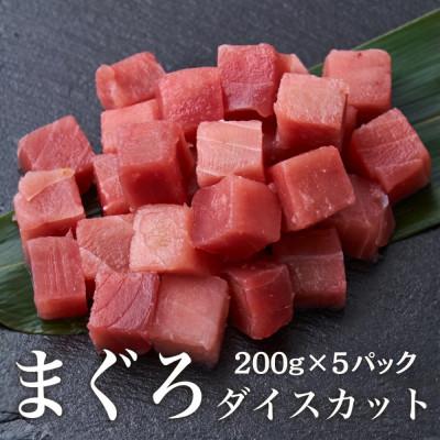 ふるさと納税 船橋市 熟成天然マグロダイスカット 200g×5袋 鮪赤身の角切 マグロ丼・海鮮丼まぐろたたき向け 小分け