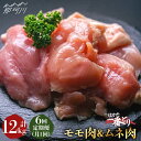 【ふるさと納税】【全6回定期便】地鶏のうまみ！ はかた一番どり 鶏肉 モモ ムネ 各1kg（計2kg）＜肉のくまもと屋＞ 那珂川市 定期便 唐揚げ むね肉 地鶏 九州産 [GBI044]73000 73000円