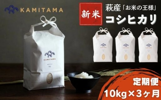 
            定期便 3か月 コシヒカリ 令和7年 10kg 米 コメ こめ 萩産 KAMITAMA　｜HG0T0585
          